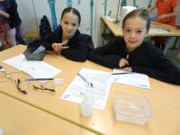 Klasse 4cd Grundschule Zuchering am 14.05.2025