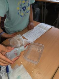 Klasse 4a der Grundschule Etting am 10.06.2026