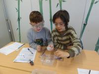 Klasse 3c der Grundschule Manching am 21.01.2026