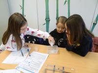 Klasse 3 der Grundschule Manching am 07.01.2026