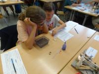 Klasse 4b der Grundschule Zuchering
