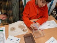 Klasse 4bg der Wilhelm-Ernst-Schule am 01.02.2023