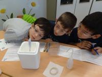 Klasse 4 der Grundschule an der Münchener Straße am 4.12.2019