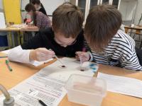 Klasse 4b der Grundschule Münchener Straße am 07.02.2024