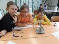 Klasse 4a der Grundschule Haunwöhr am 24.01.2024