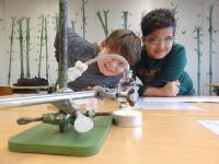 Klasse 4b der Grundschule Ringsee am 19.2.2020