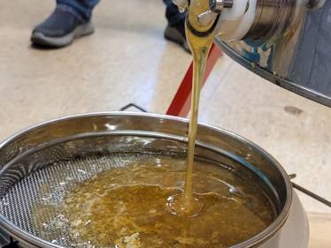 Honigernte bei den Apian-Bienen