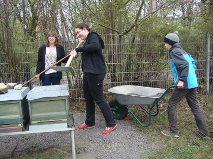 „Erdarbeiten“ nach dem Umzug der Bienenvölker im Frühjahr