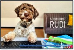 Schulhund Rudi