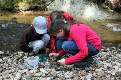 5. Klassen im Schullandheim
