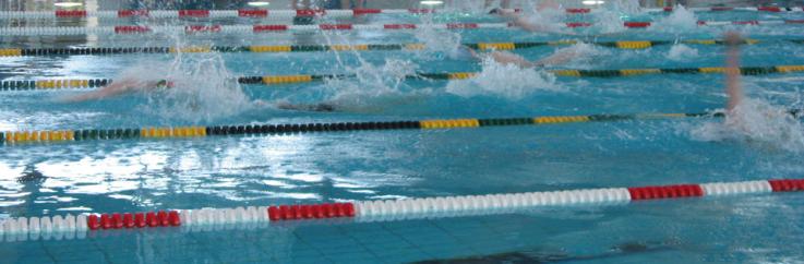 Schwimmen - Landesfinale