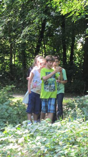 Exkursion zum Auwald