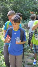 Exkursion zum Auwald