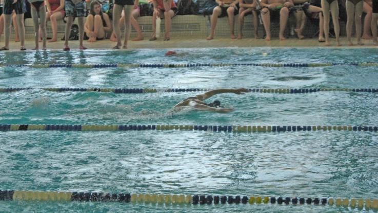 Bezirksfinale Schwimmen
