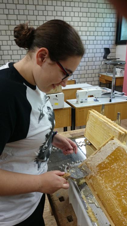 Bienen im Schulgarten