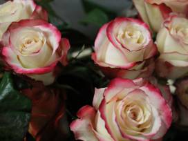 Love letters straight from your heart keep us so near while apart...