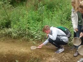 Die Donau- ein Fluss wie jeder andere?