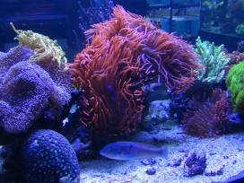 Geologie-Kurse zu Besuch in den Tropen