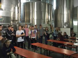 Ein Blick in die Kunst des Bierbrauens