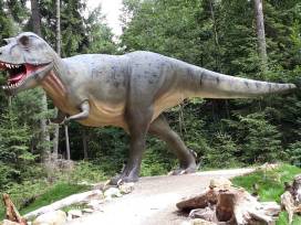 Auf den Spuren der Dinosaurier