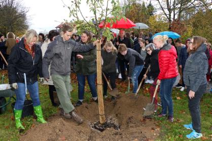 Apfelbaumaktin zum 500. Reformationsjubiläum
