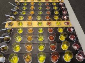 Ein Highlight – die Olivenölverkostung