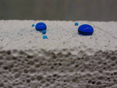 Die Apian-Forscher forschen weiter!