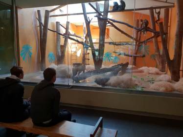 W-Seminar „Ordnung im Chaos“ 