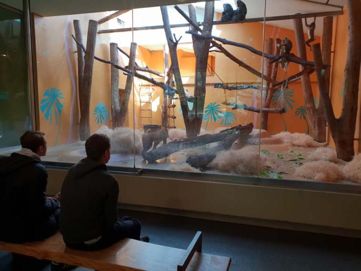 Exkursion in den Tiergarten Hellabrunn