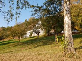 Erstes SMV Seminar im Schuljahr 2018/2019