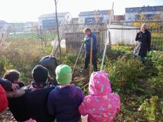 So wird ein Baum gepflanzt!