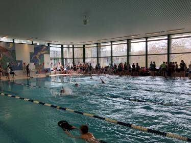 Erfolgreiche Apianer