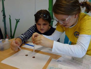 Apian-Forscher erforschen das Wasser