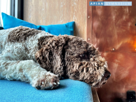 Geschafft! Jetzt erstmal ausruhen 