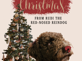 Rudi - The Red-Nosed Reindog 