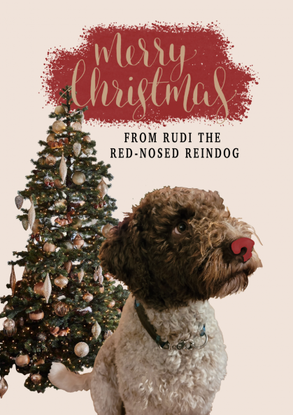 Weihnachtskarte Rudi