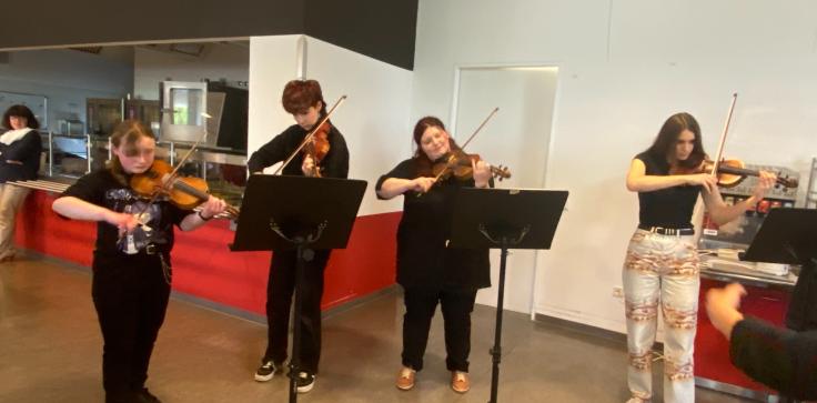 Streicherensemble des Apian-Gymnasiums