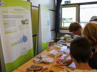 Nachhaltigkeit als Bildungsziel