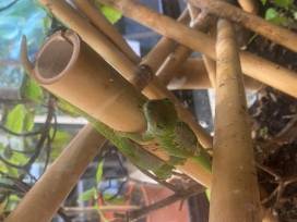 Mitgliederversammlung des Freundeskreises 