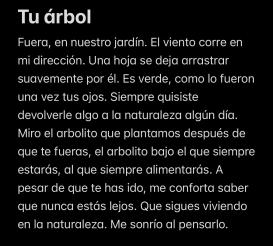 Leilah Cenuse-Blanco, 10F: Microrrelato