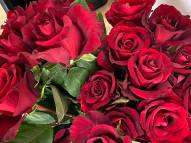 160 Zeugnisse der Liebe - Das Apian feiert den Valentinstag