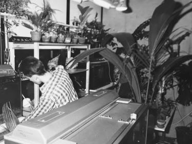 40 Jahre Vivarium