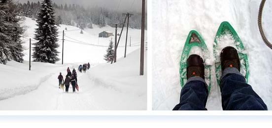 Excursion dans le Jura - randonnée en raquettes