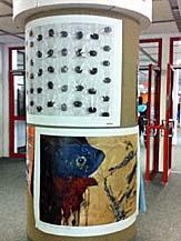 Ökumenische MISEREOR-Aktion 