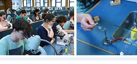 P-Seminar im Max von Pettenkofer-Institut