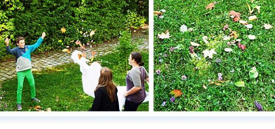 Land Art - Herbstliches Farbenspiel im Schulgarten