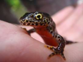 Neues aus dem Schulgarten