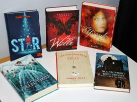 Seitenforscher – der Vorlesewettbewerb 2013